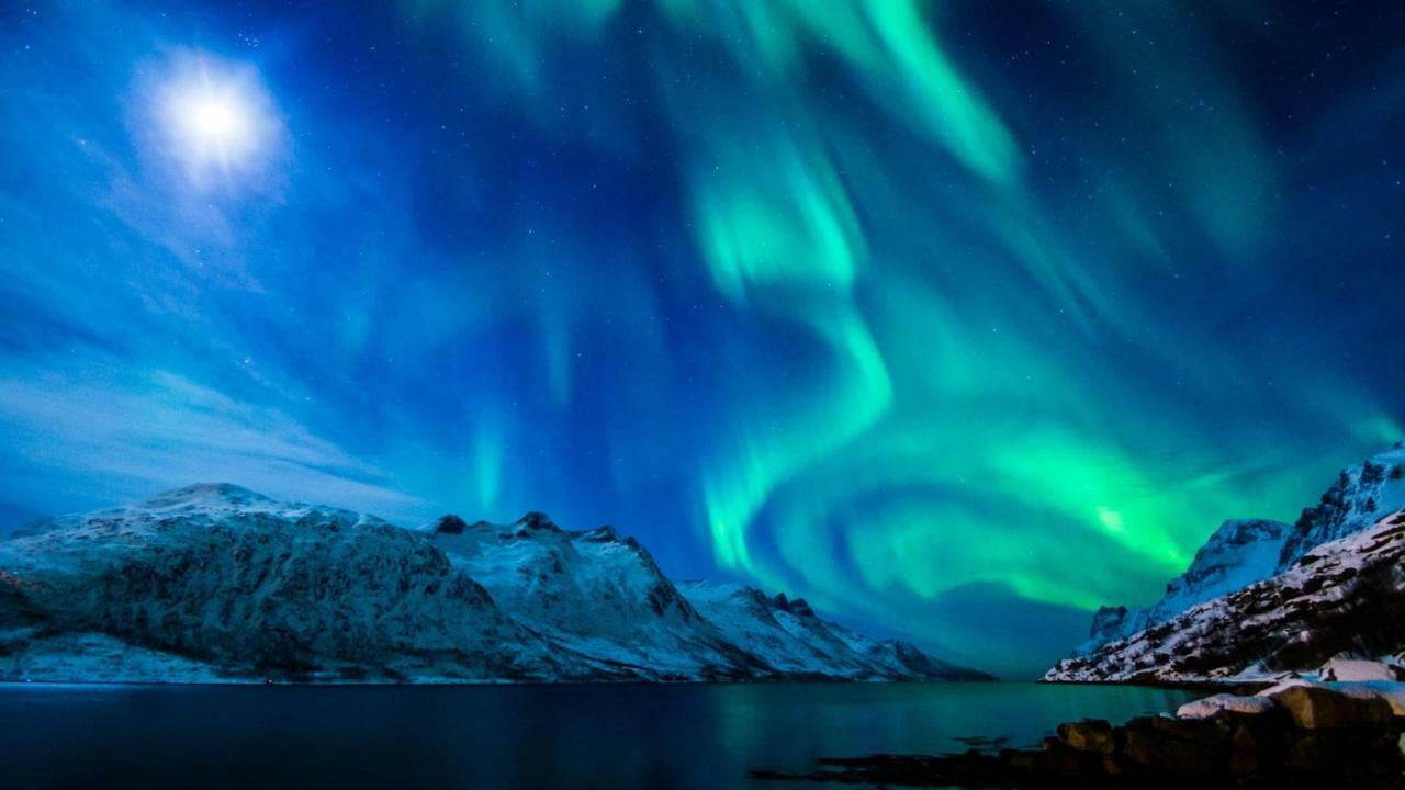 Arctic Homes – Tromsø Residence Eksteriør billede